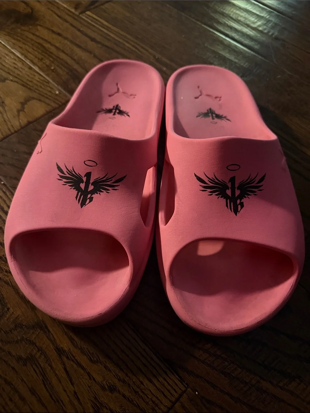 Puma Lamelo Ball x Shibui Cat Slides